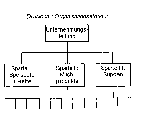 divisionale Organisation