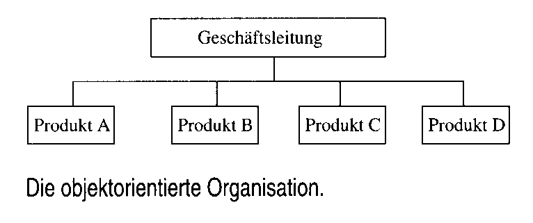 objektorientierte Organisation