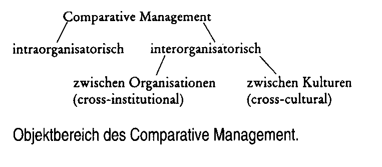 vergleichende Managementlehre
