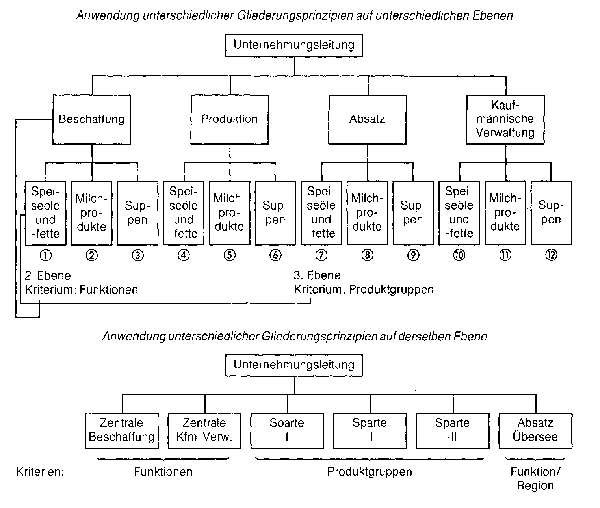 funktionale Organisation