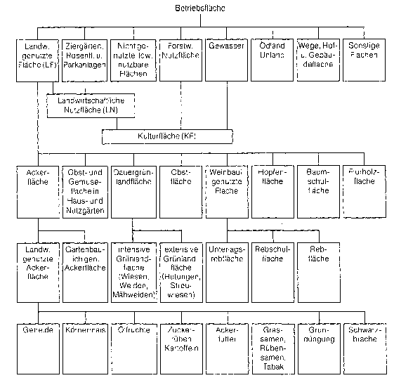 landwirtschaftliche Betriebsfläche