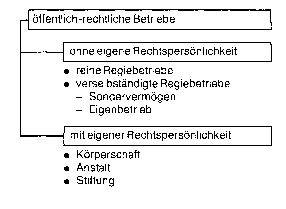 öffentlicher Betrieb