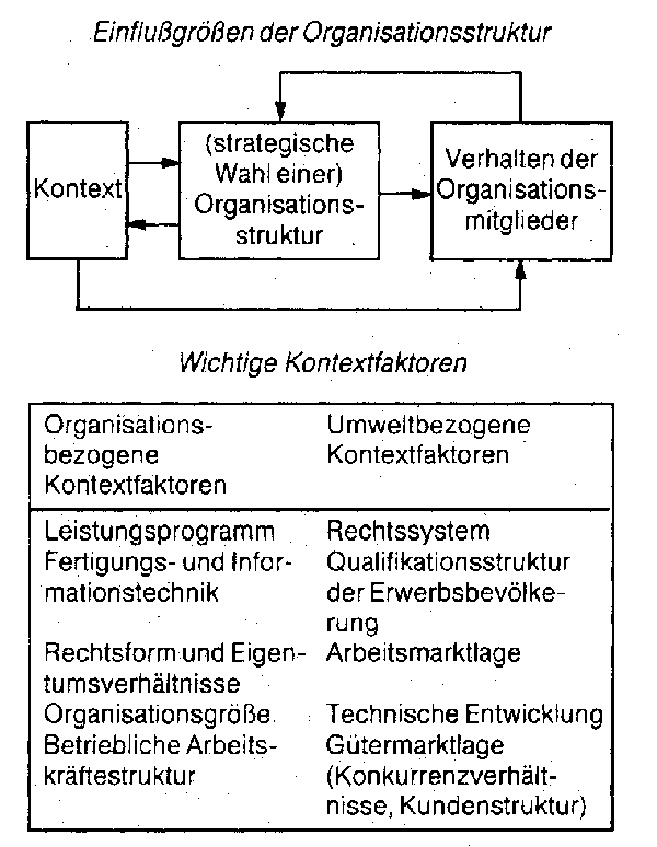 Organisationsstruktur