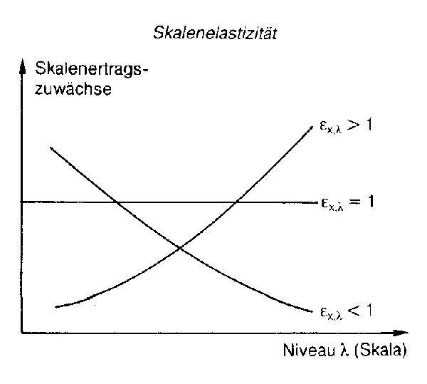 Skalenelastizität