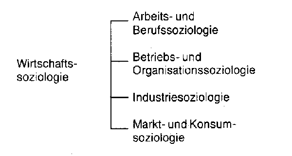 Wirtschaftssoziologie