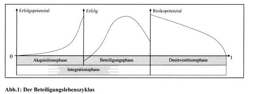 Beteiligungscontrolling