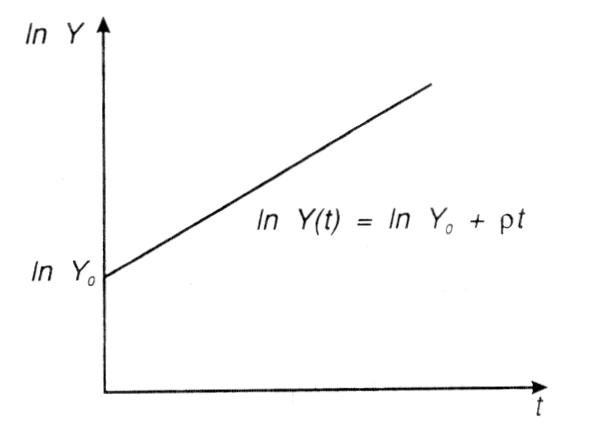 exponentielles Wachstum