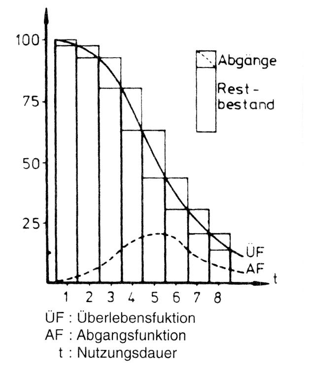 Überlebensfunktion