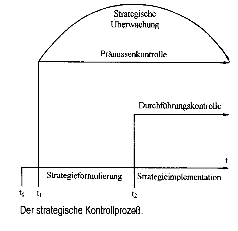 strategische Kontrolle